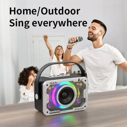 Bluetooth Wireless KTV Mini Speaker